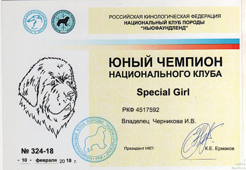 Фото: ньюфаундленд Special Girl (Специал Герл)