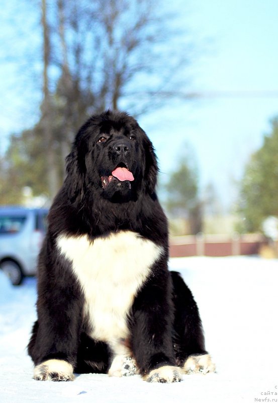 Фото: F.A. Don't Stop