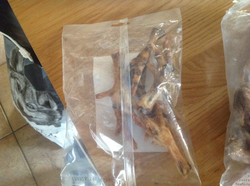 Фотография № 233951