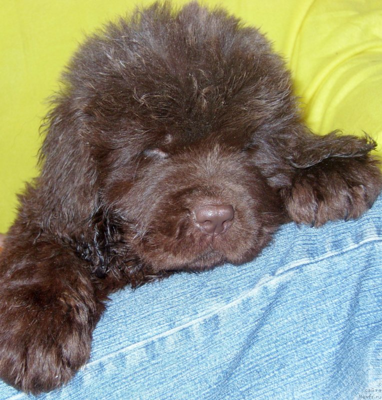 Фотография № 234041