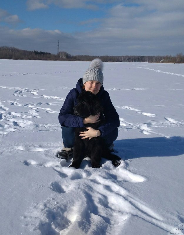 Фотография № 234048