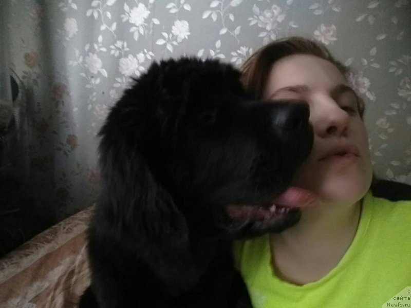 Фотография № 234049