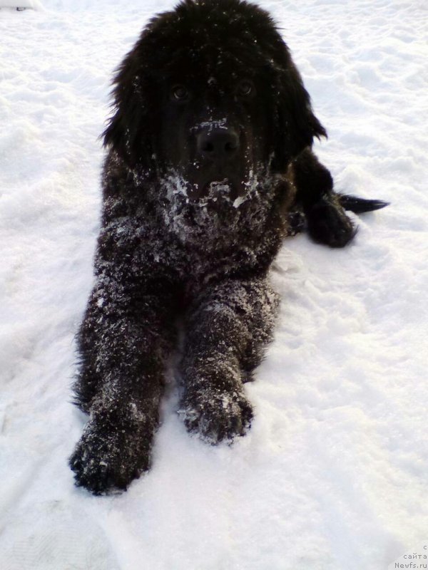 Фото: [f234050:big]