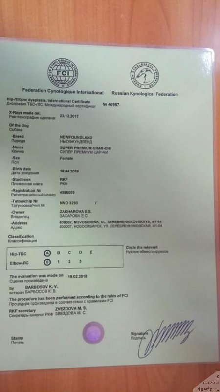 Фотография № 234052