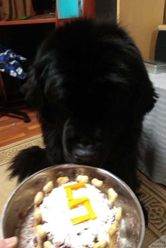 Фотография № 234053