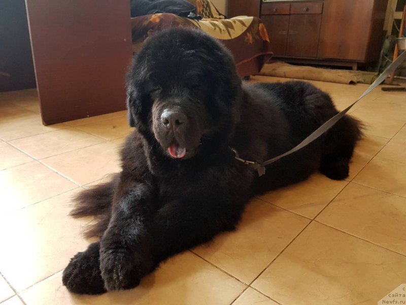 Фотография № 234057