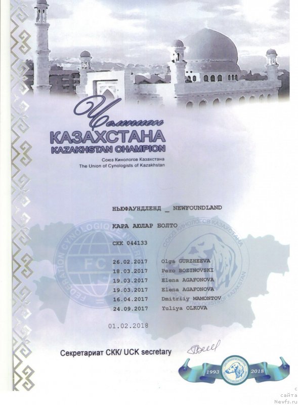 Фотография № 234103