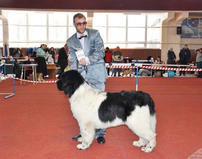 Фотография № 234104