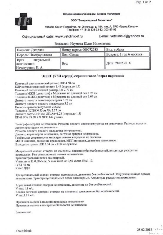 Фото: ньюфаундленд Chernaya Mafia Because I Am Worth It (Черная Мафия Бекаусе И Ам Вортх Ит)