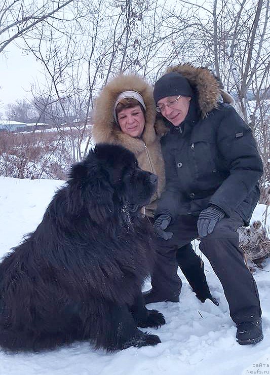 Фотография № 234131