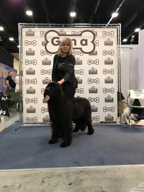 Фотография № 234135