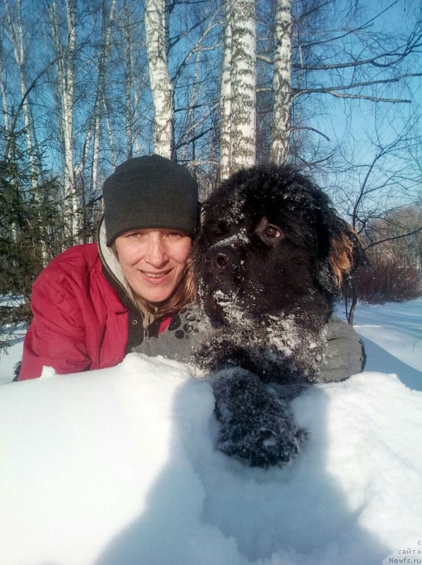 Фотография № 234146