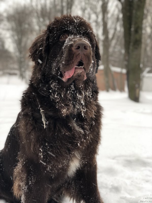 Фотография № 234147