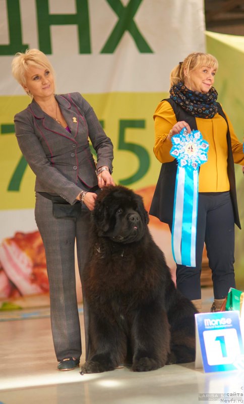 Фотография № 234159