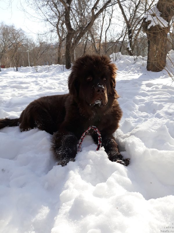 Фотография № 234167