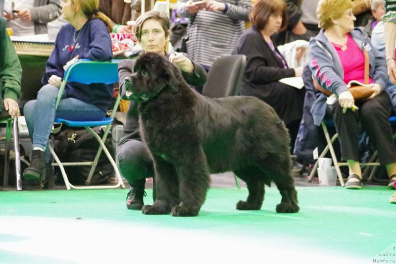 Фотография № 234231