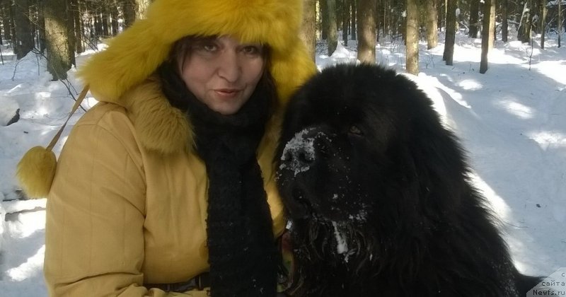 Фотография № 234233