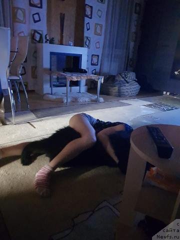 Фотография № 234236