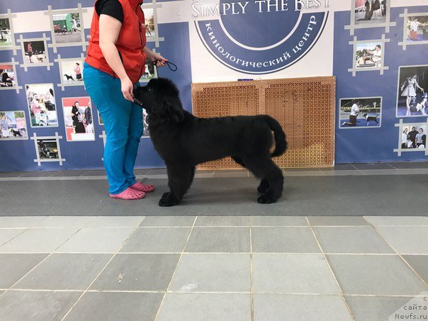 Фотография № 234254