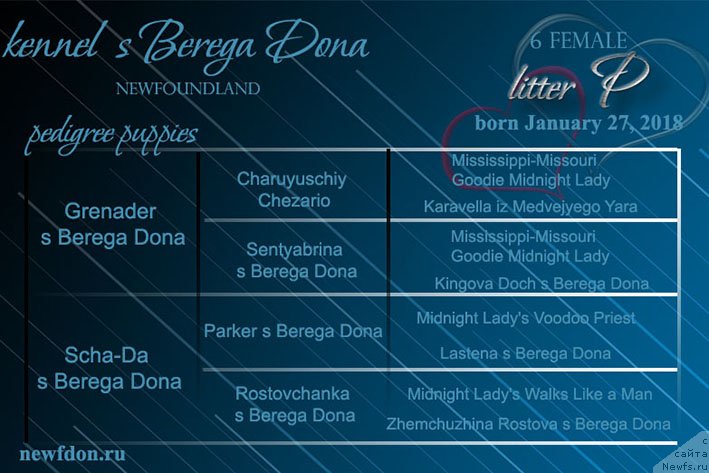 Фотография № 234265