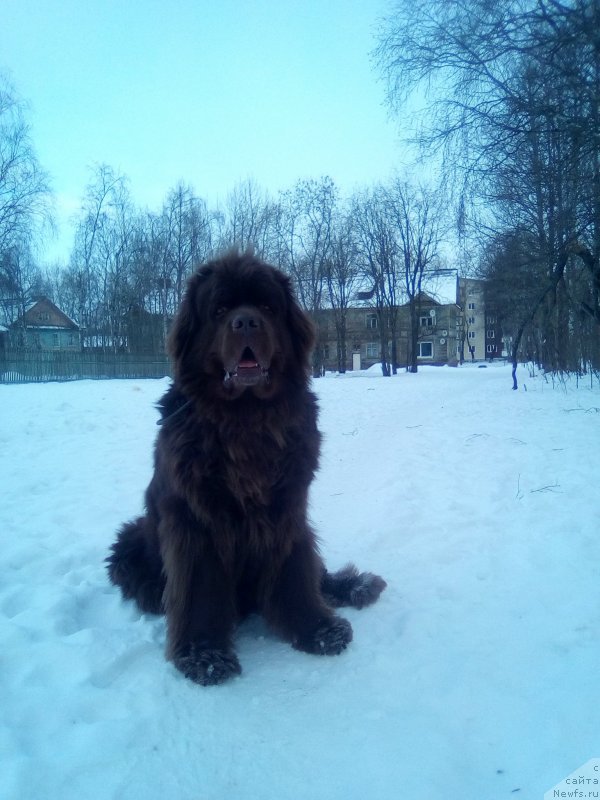 Фотография № 234266