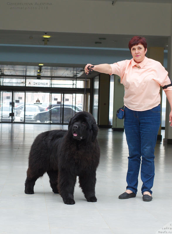 Фотография № 234284