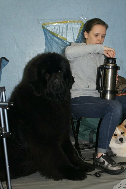 Фотография № 234285