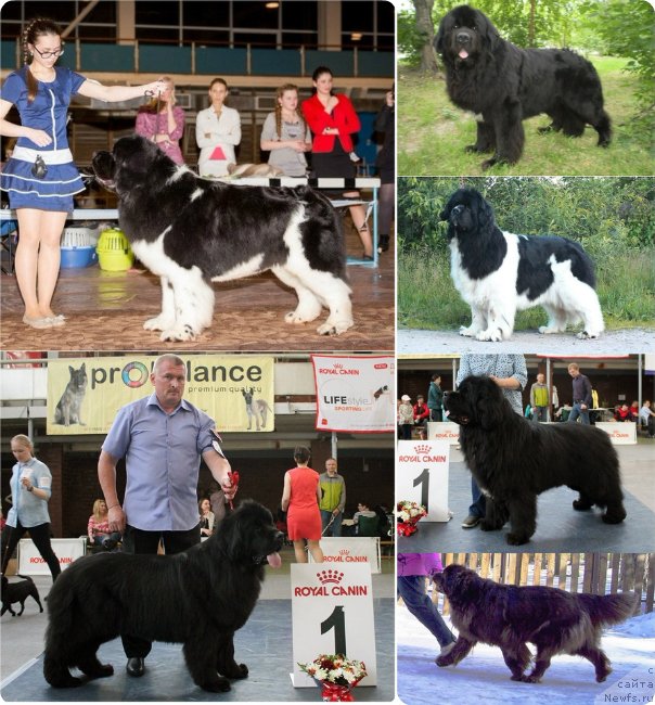 Фотография № 234375