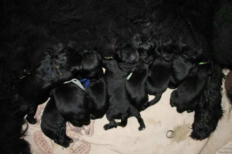 Фотография № 234377