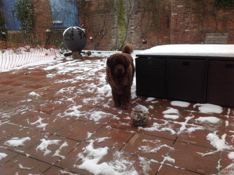 Фотография № 234407