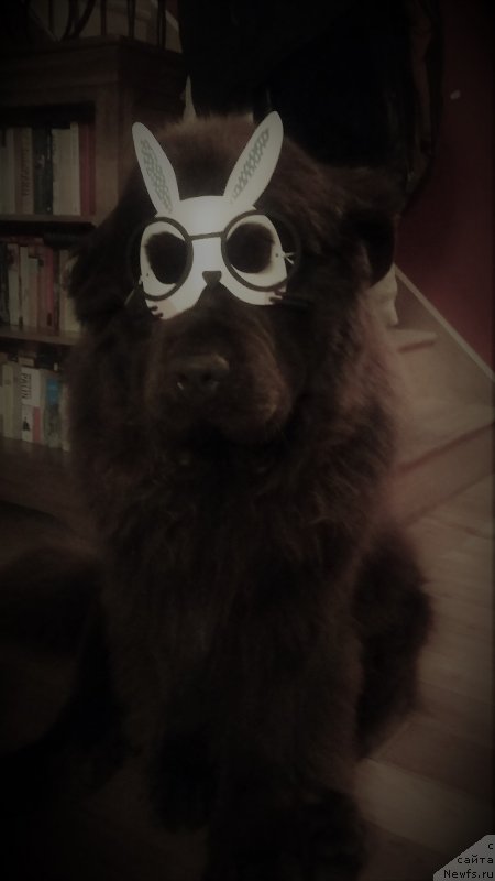 Фотография № 234532