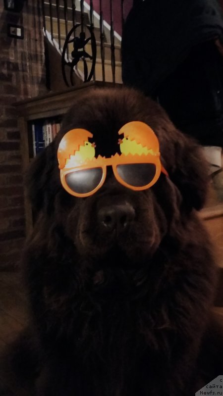 Фотография № 234534