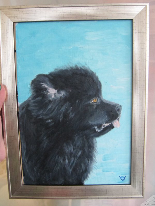 Фотография № 234548