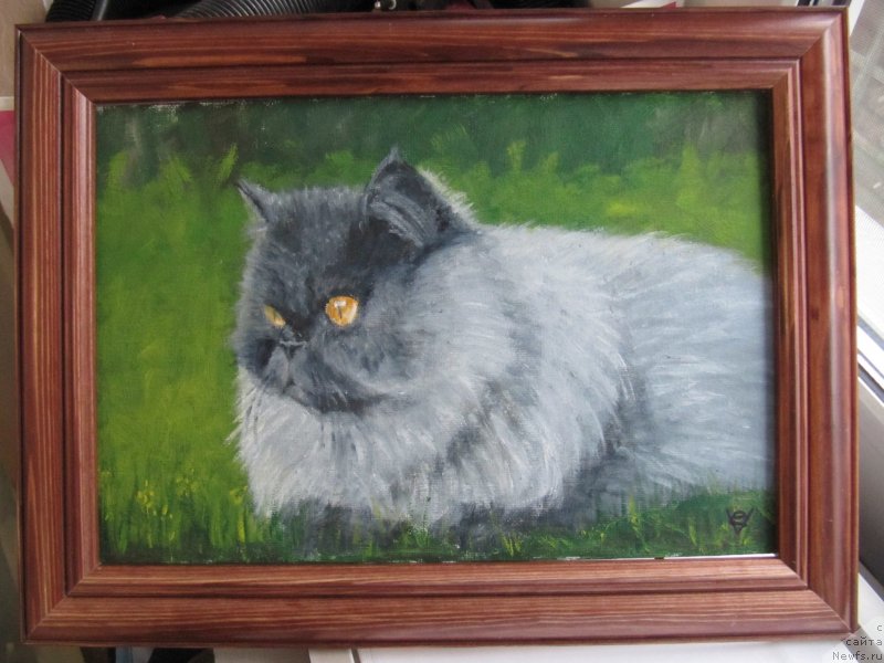 Фотография № 234549