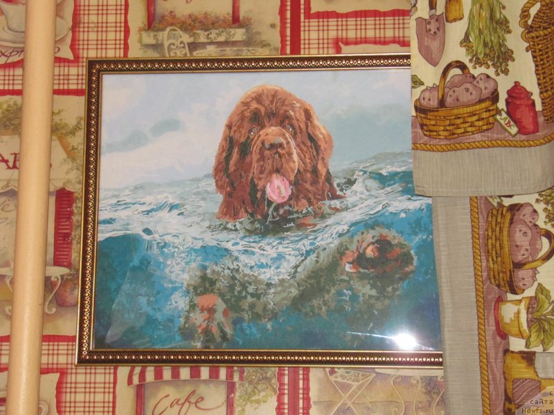 Фотография № 234551