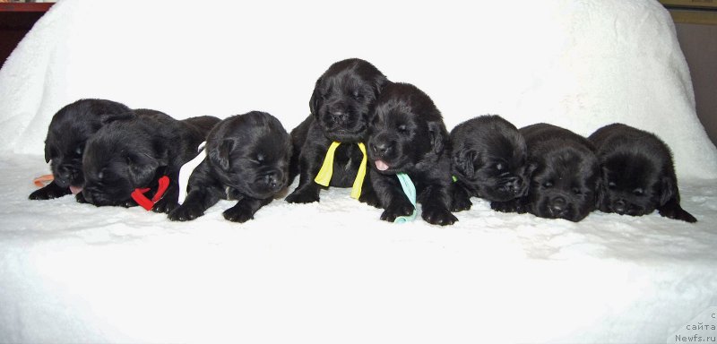 Фотография № 234572