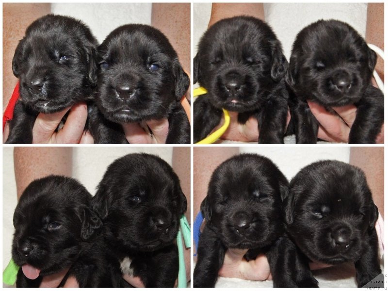 Фотография № 234588