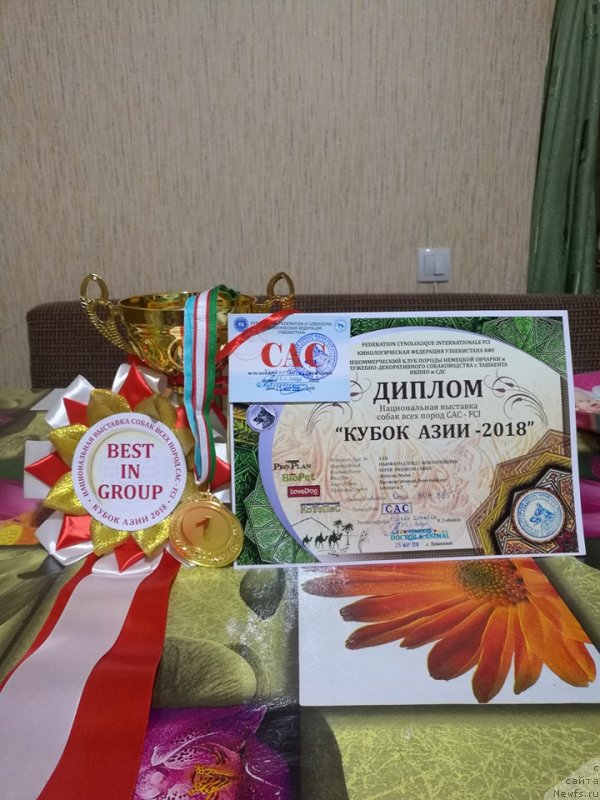 Фотография № 234600