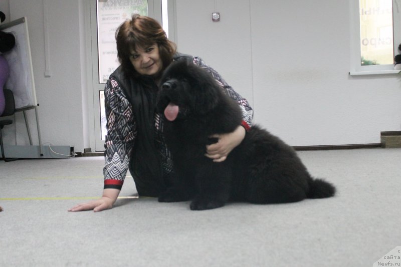 Фотография № 234607