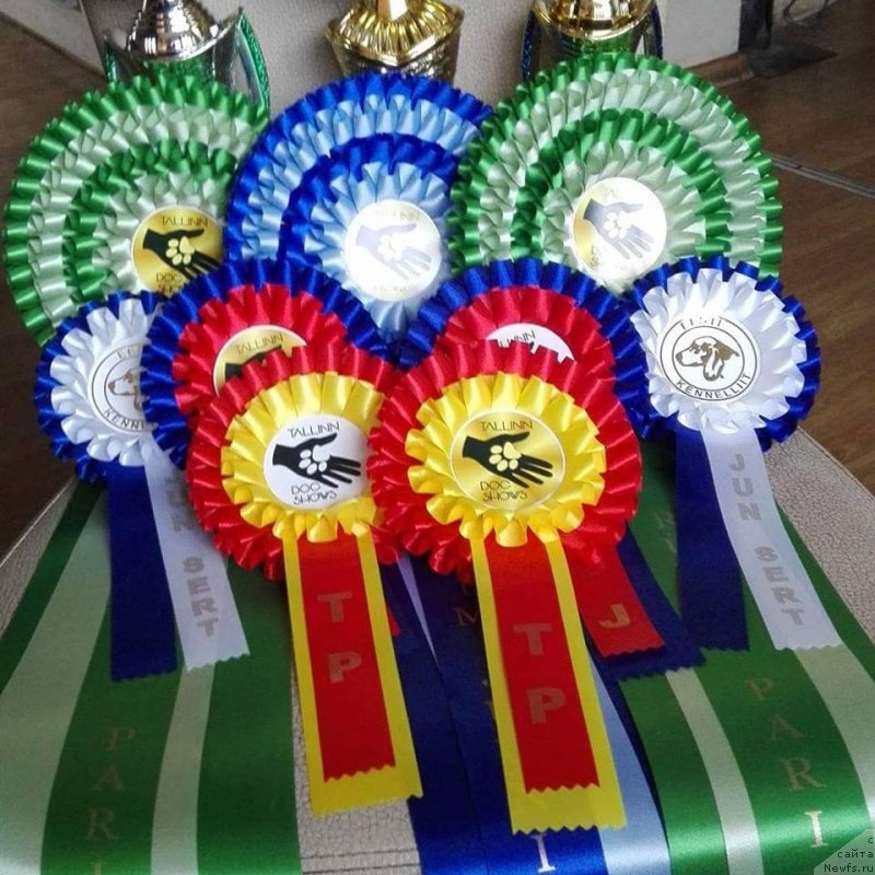 Фотография № 234619