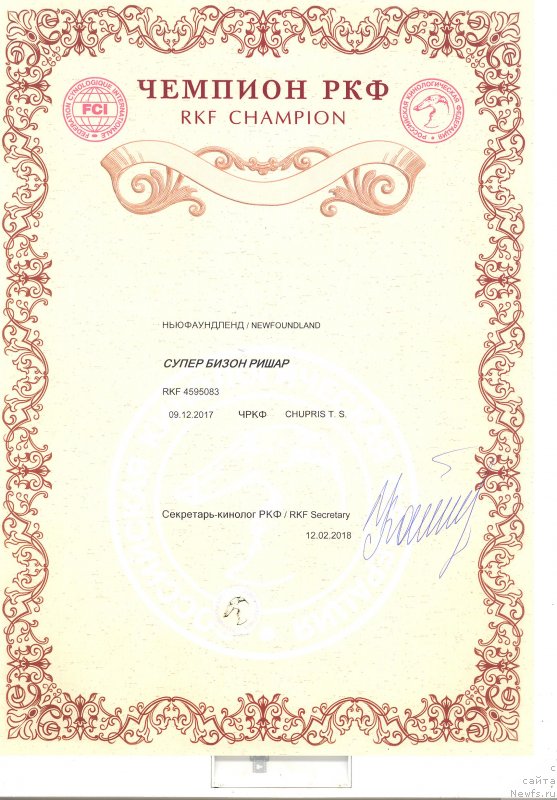 Фото: ньюфаундленд Super Bizon Rishar (Супер Бизон Ришар)