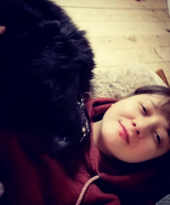 Фото: ньюфаундленд CHarl'z Balu Blek Biar (Чарльз Балу Блек Биар)