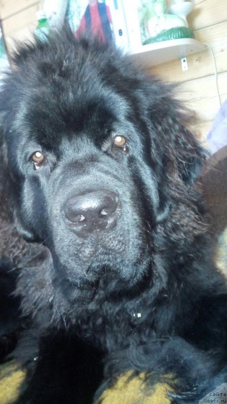 Фотография № 234636