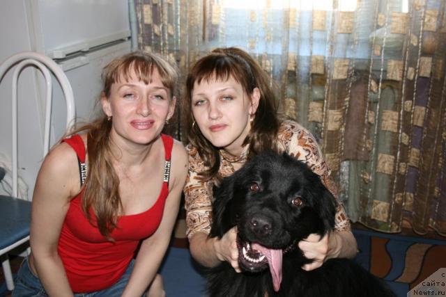 Фото: ньюфаундленд Preriya ot Sibirskogo Medvedya (Прерия от Сибирского Медведя)