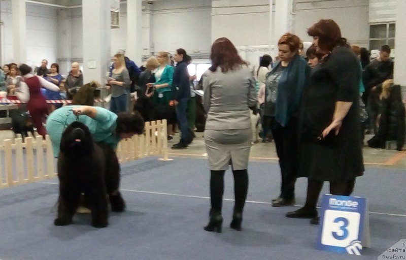 Фотография № 234655