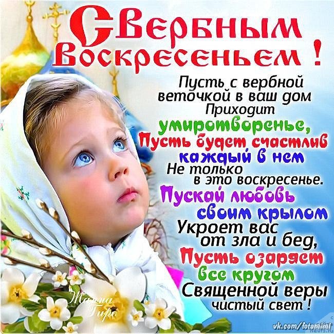 Фотография № 234656