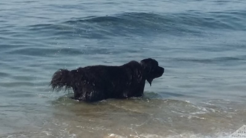 Фотография № 234664