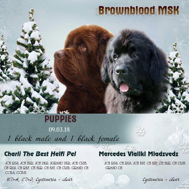 Фотография № 234677