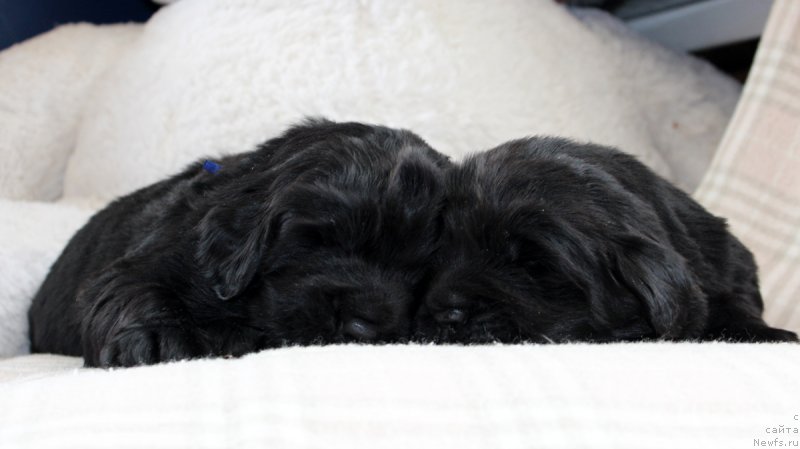 Фотография № 234685