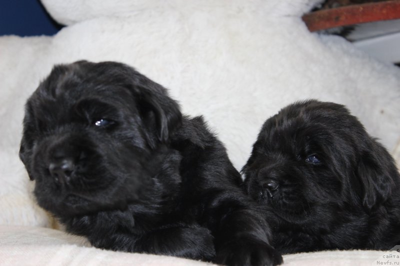 Фотография № 234687